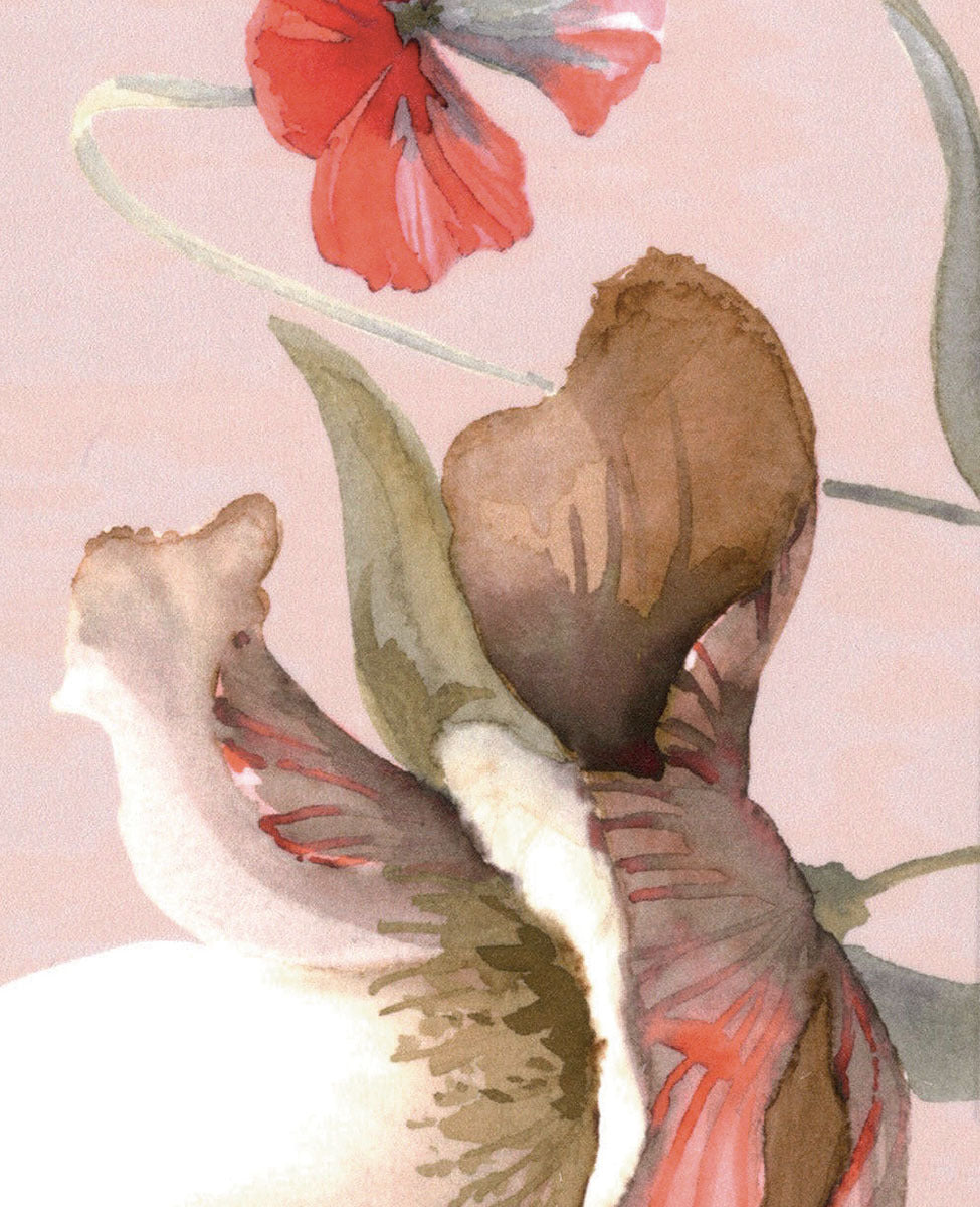 Lenzuola Fleurette Matrimoniale Blumarine