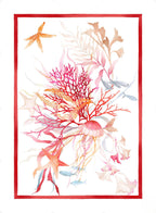 Strofinaccio Ondiva in Lino Tessitura Toscana (50x70cm)