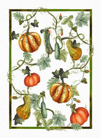 Strofinaccio Kurbis in Lino Tessitura Toscana (50x70cm)