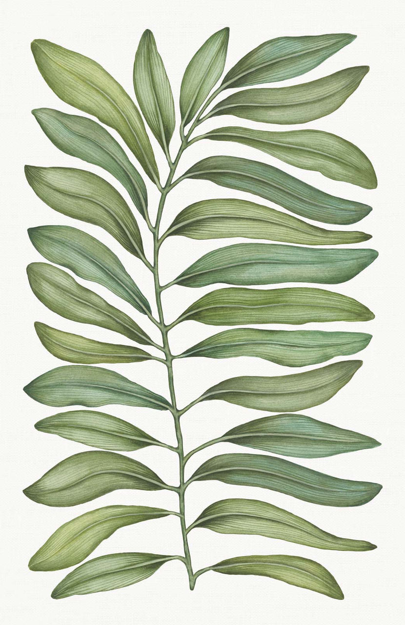 Tovaglia Tamarindo in Lino Tessitura Toscana (170x270cm)