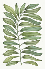 Tovaglia Tamarindo in Lino Tessitura Toscana (170x270cm)